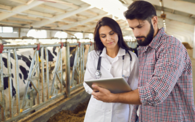 Sustentabilidade Na Medicina Veterinária